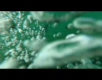 Person jump in lake film catfish swim underwater