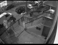 Person in dinosaur costume stares at camera 