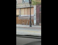 Shirtless guy twin ladder street construction worker