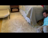 Pet dog with a baguette bread hides underneath the bed