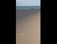 Girl black bikini sexy pose box beach