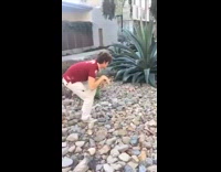 Collab Kook Of The Day - guy in red sneaking up on an animal