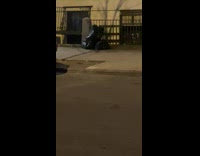 Collab WINY - Cat Gets Spooked and Runs Away from Rat