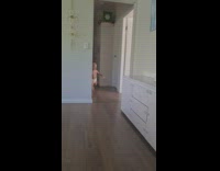 Woman calls baby and it comes with money to give her 