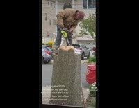 Progress of dad cutting bear out of wood tree chainsaw 