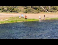 Collab IITW - Woman brown top films by the river