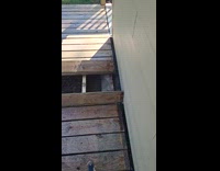 Man fails to lure out stuck hen from underneath deck