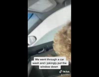 Window gets stuck during car wash fail