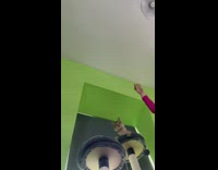 Cat jumps off tower after toy ball