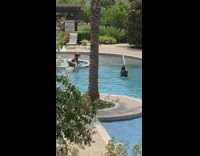 Woman orange bikini bend forward pool pictorial