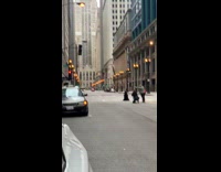 Large black dog crosswalk car hazard lights 