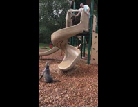 Two dogs go down playground slide fail