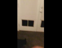 Cat steals blue shirt off wood dresser 