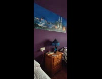 Pet cat lie down on the bed reveals belly