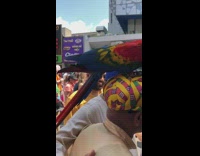 Collab BitchIG2 - Guy walks outside with parrot on head