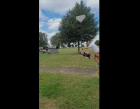 Collab Kale Salad IG - Dad pushes kid on zipline swing fail