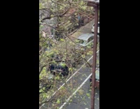 Naked man free climb scales up apartment building