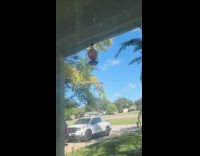 Two hummingbirds fight over the bird feeder