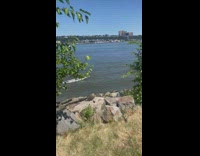 Person paddleboards near city 