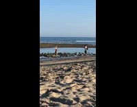 Girl hat black bikini wave arms beach