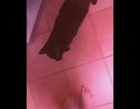 Girl walks up to black cat barefoot