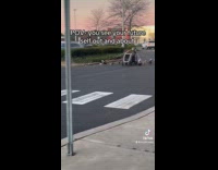 Woman with a stroller and leashed dogs