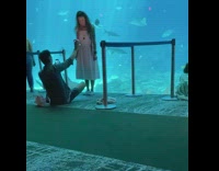 White dress girl aquarium tank guy flash 