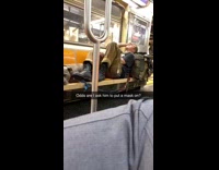 Guy on subway with grey dog 