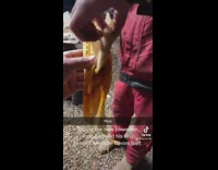 Guy from new england tries his first tamale