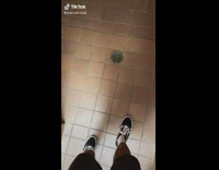 Handicap shower shoots water straight at wall 