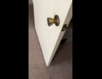 Dog approaches owner when bell is rung