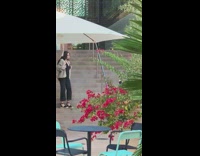 Woman black dress gray jacket walk stairs Part 2