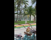 Girl white pants knee up street bike