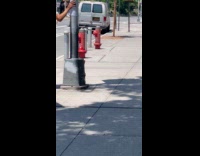 Man put posters looking for perfect woman