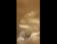 Collab Clips mpugc - Girl green frog stuck in hair friend freaks out and falls