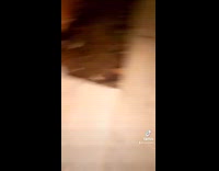 Collab Clips MPUGC2 - Man shaming alarming car from other cars