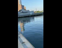 Filled condom found in river 