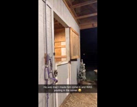 Horse comes forward hearing bag of treats 