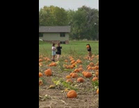 Woman black hat shirt kiss pumpkin farm