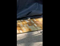 Skunk under grill cover take eat bread