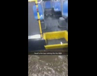 Noahs arc has nothing on the m86 bus