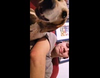 Dog gets mad barks at the owner