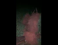 Submitter shows storm aftermath neighborhood power outage