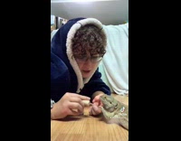 Girl paints lizards claws with nail polish