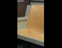 Spotted lanternfly on seat of subway train