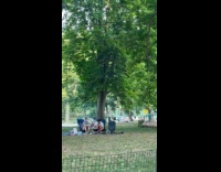 Collab WINY - Couple barbeque grill date at the park