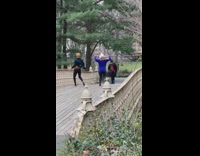 Guy and girl dance on park bridge 