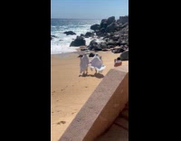 Two people ghost costume photoshoot at beach