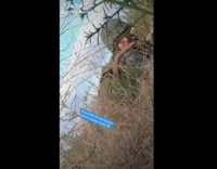 Guys regret joining military instead of college 