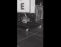 Cat sits under sign on movie set